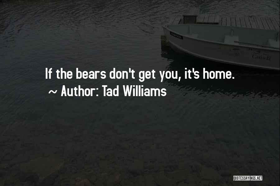 Tad Williams Quotes 2217131