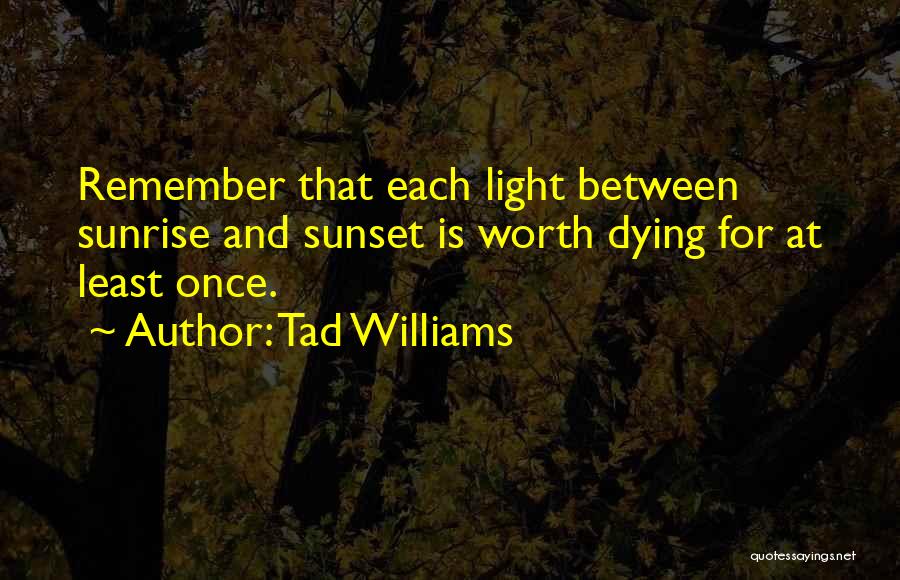 Tad Williams Quotes 627738