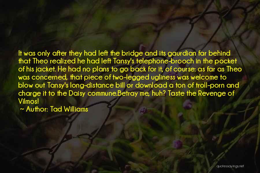 Tad Williams Quotes 723976