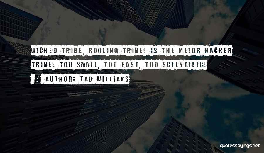 Tad Williams Quotes 865043