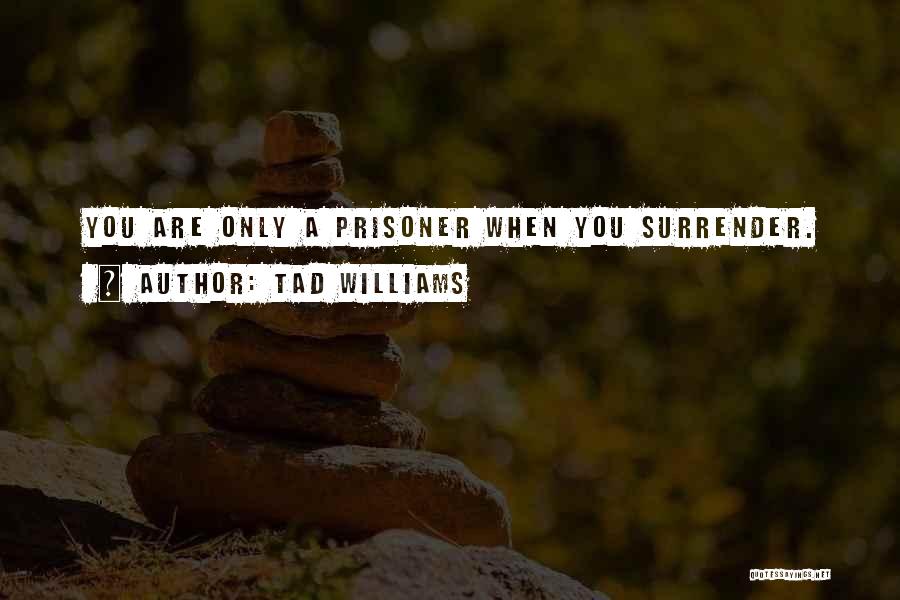 Tad Williams Quotes 880171