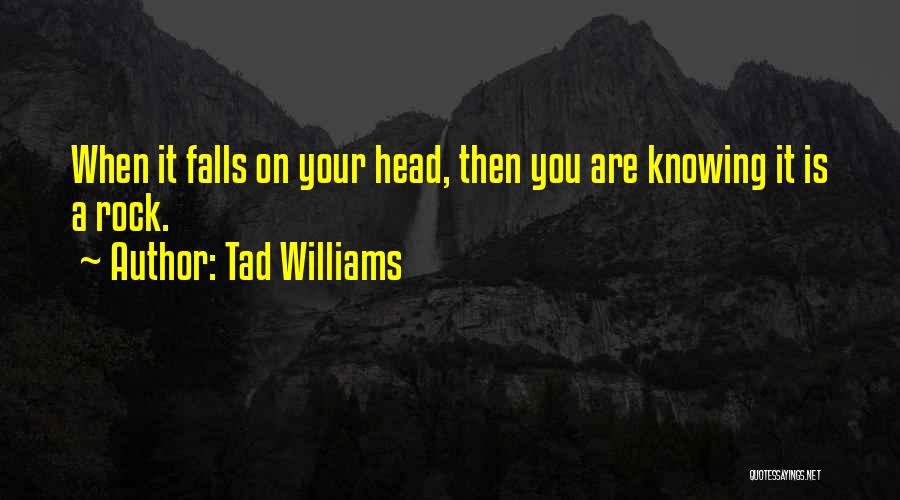 Tad Williams Quotes 924052