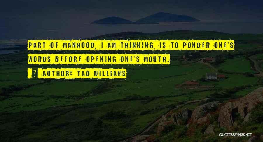 Tad Williams Quotes 933116