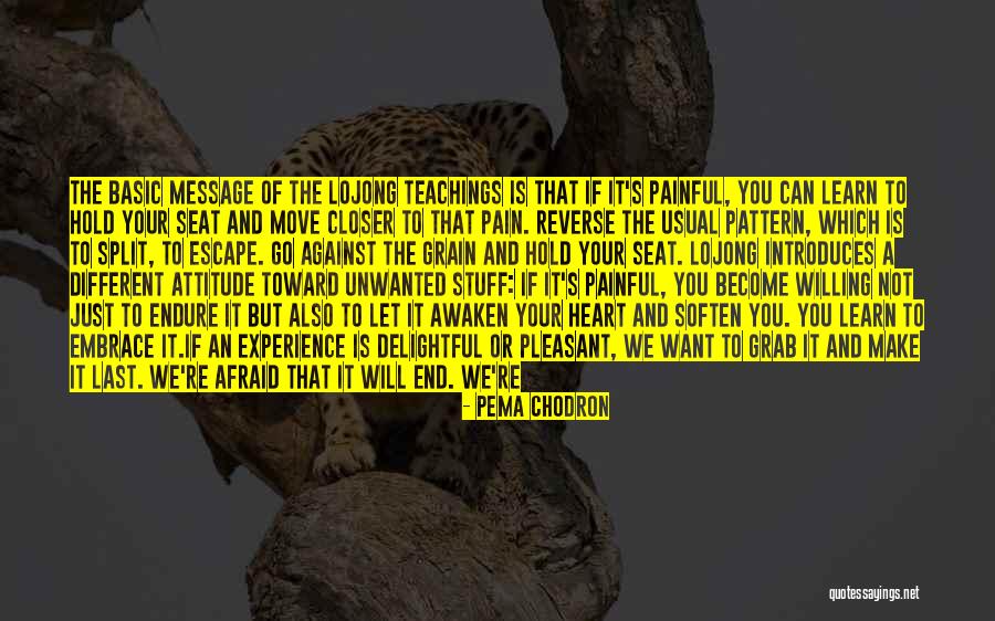Tadese Mekete Quotes By Pema Chodron Tadese Mekete Quotes By Pema Chodron