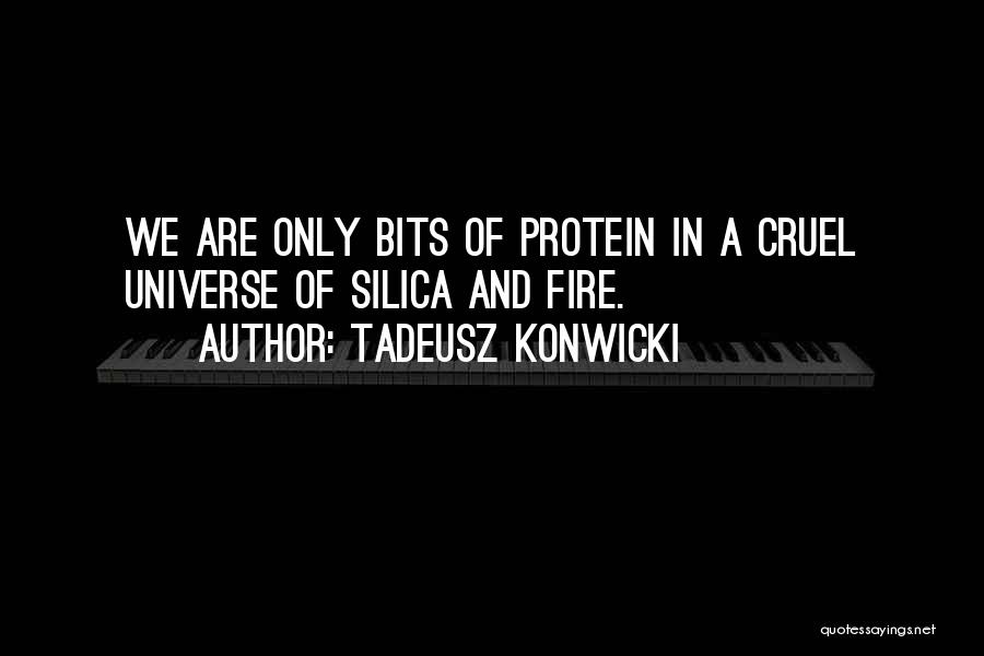 Tadeusz Konwicki Quotes 2037985