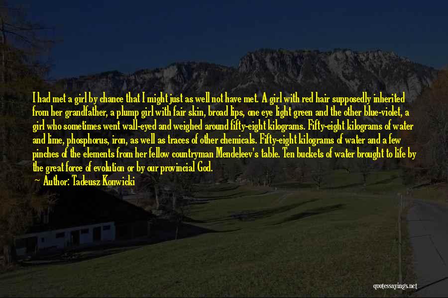 Tadeusz Konwicki Quotes 922382