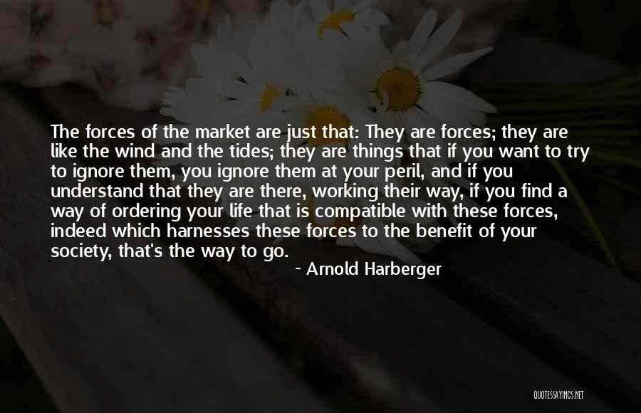 Tadorna Radjah Quotes By Arnold Harberger Tadorna Radjah Quotes By Arnold Harberger