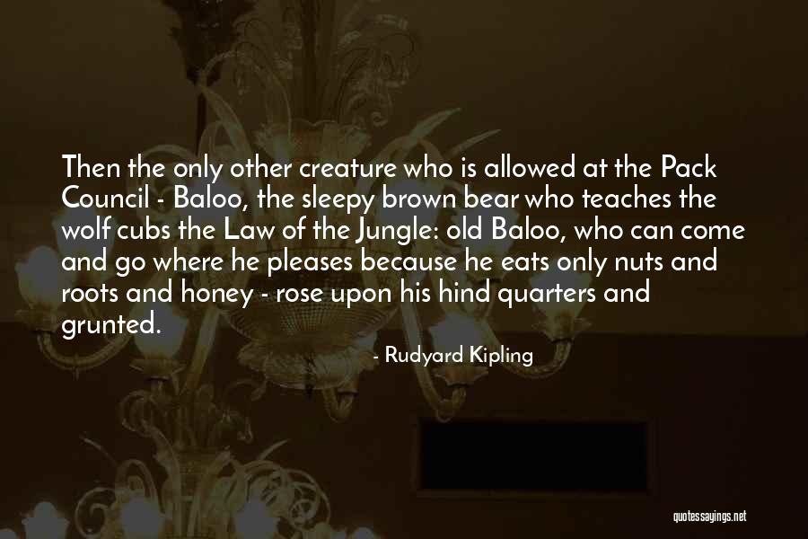 Taekman Divorce Quotes By Rudyard Kipling Taekman Divorce Quotes By Rudyard Kipling
