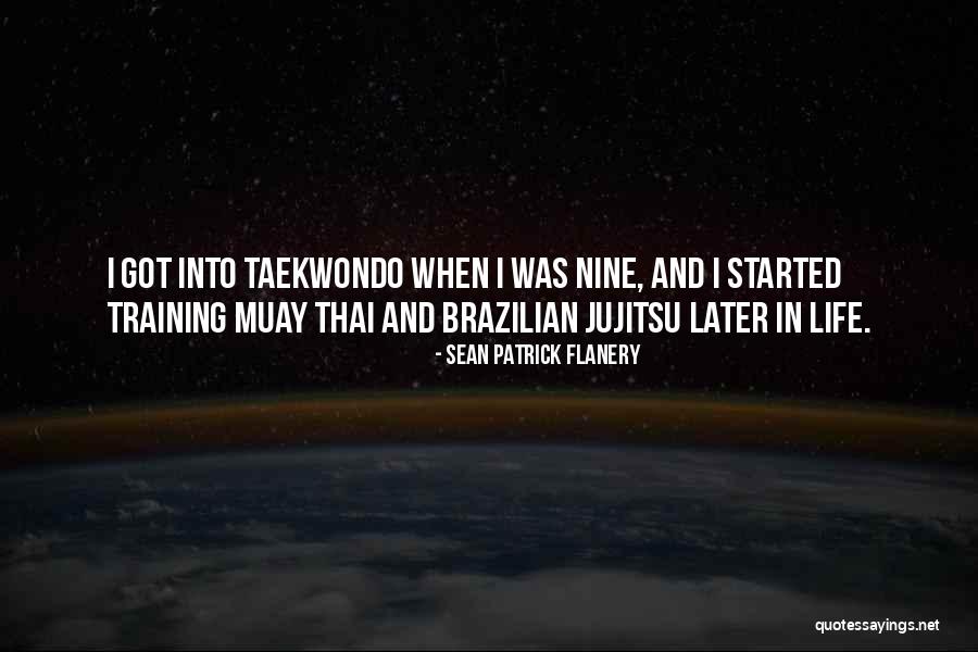Taekwondo Quotes By Sean Patrick Flanery Taekwondo Quotes By Sean Patrick Flanery