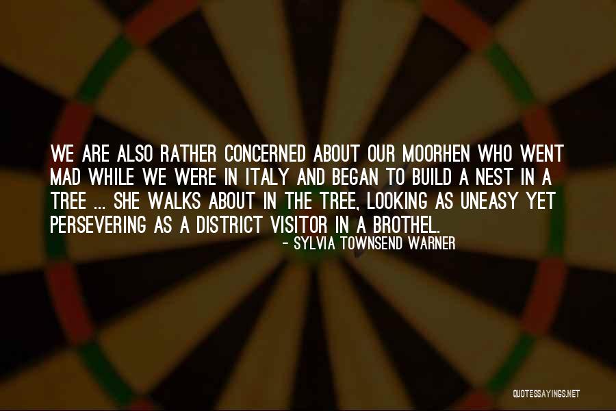 Tagliani Az Quotes By Sylvia Townsend Warner Tagliani Az Quotes By Sylvia Townsend Warner