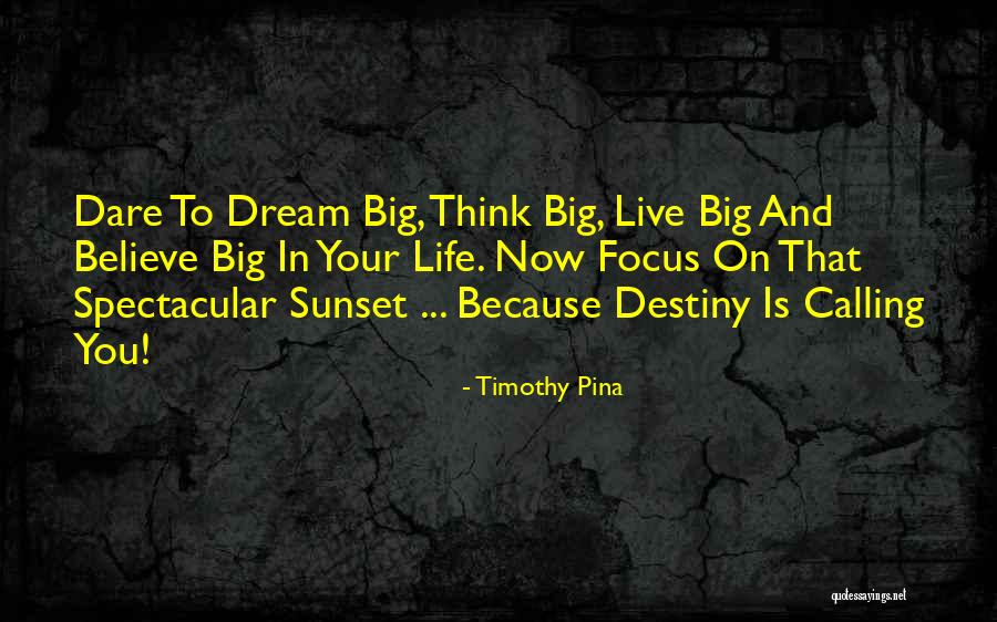 Taglines In Dialogue Quotes By Timothy Pina Taglines In Dialogue Quotes By Timothy Pina