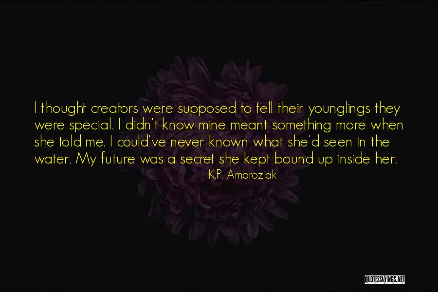 Tagomi Systems Quotes By K.P. Ambroziak Tagomi Systems Quotes By K.P. Ambroziak