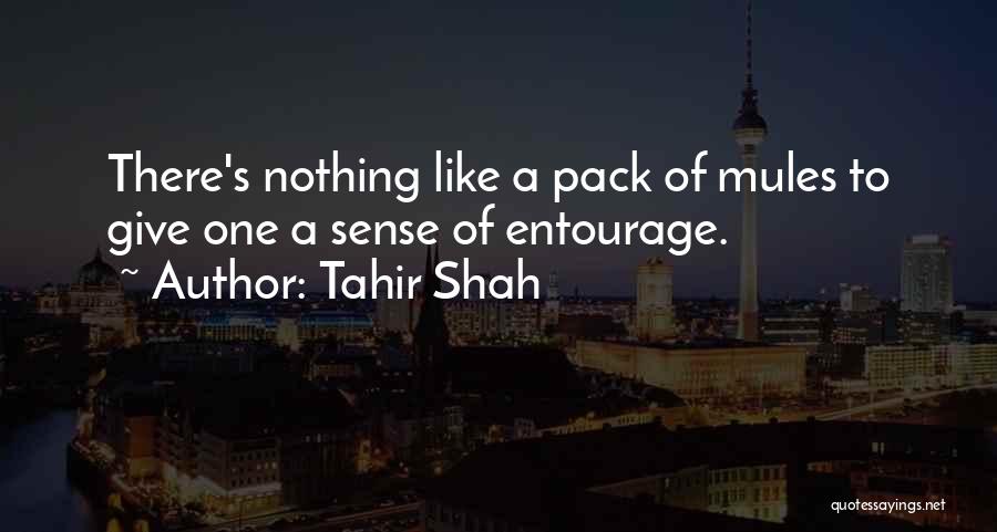 Tahir Shah Quotes 1031572