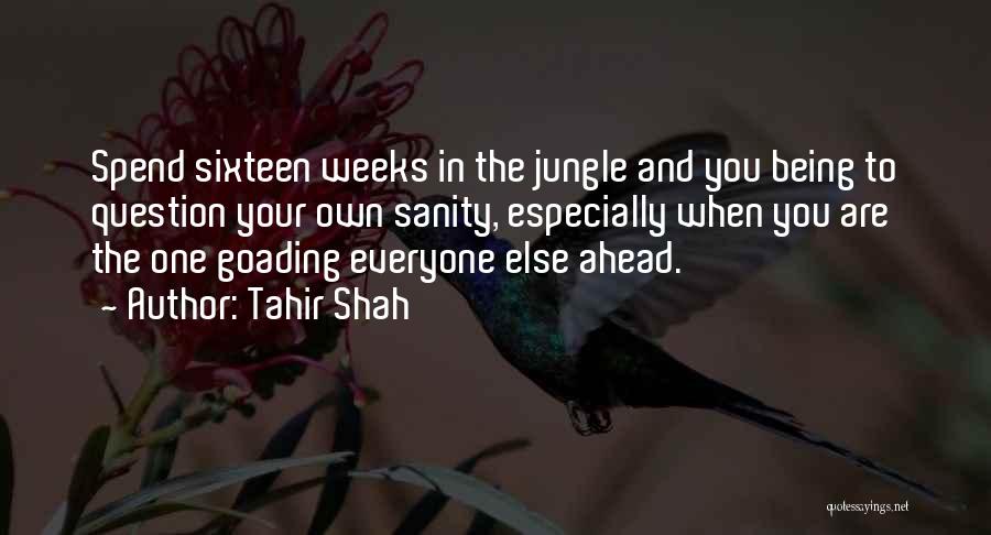 Tahir Shah Quotes 1094510