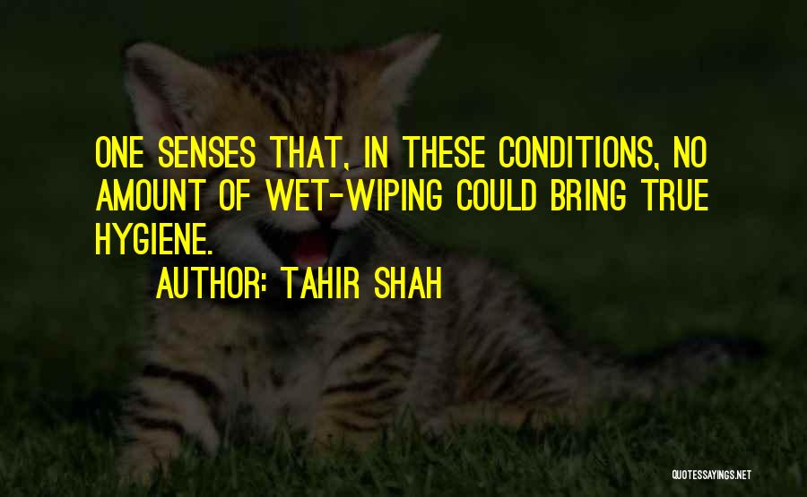 Tahir Shah Quotes 1418977