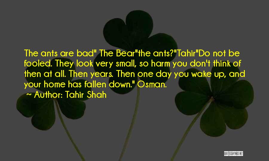 Tahir Shah Quotes 1424091