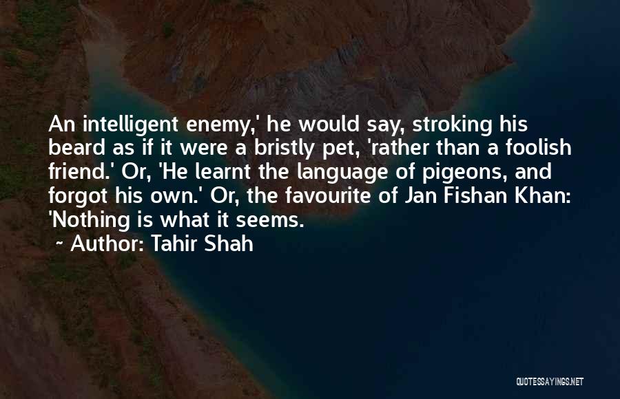 Tahir Shah Quotes 1500732