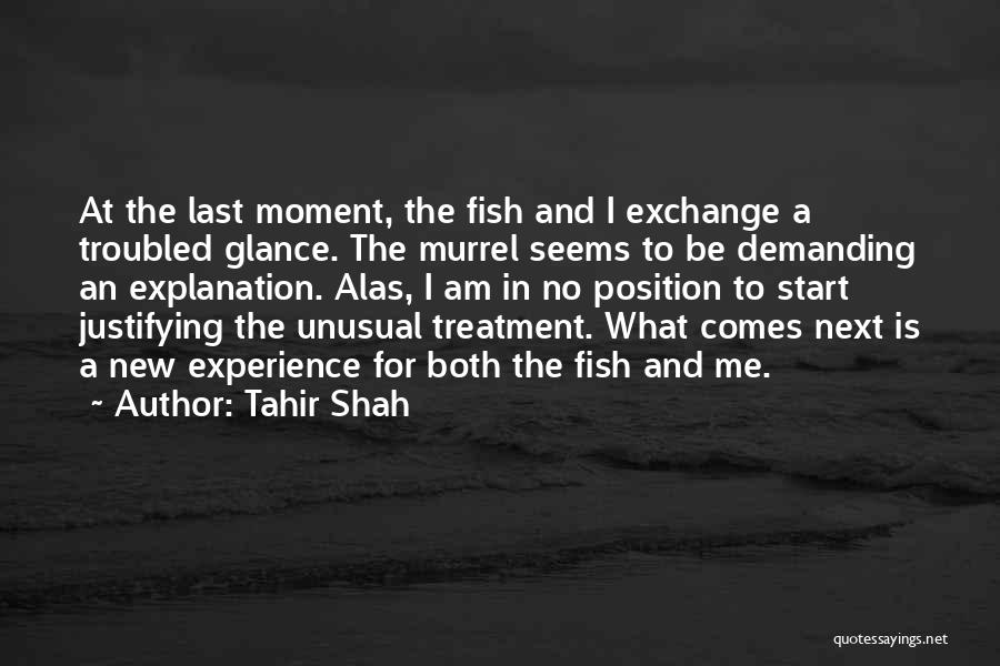 Tahir Shah Quotes 873832