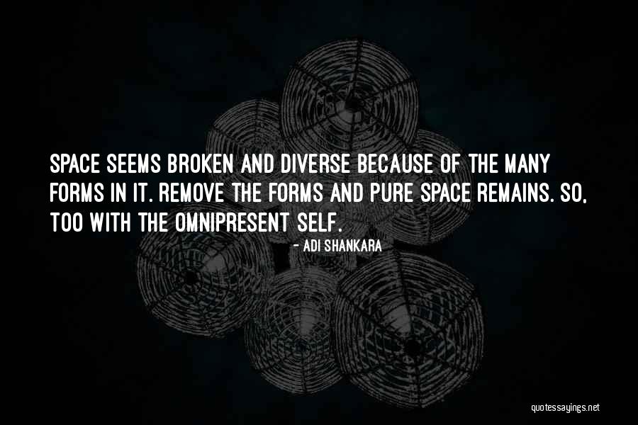 Tahlilgaran Quotes By Adi Shankara Tahlilgaran Quotes By Adi Shankara