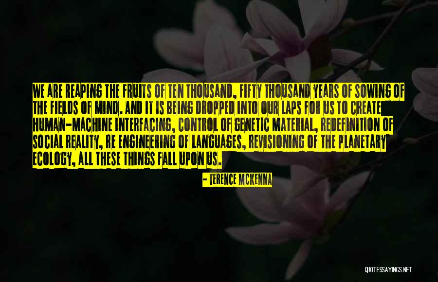 Tahmineh Tamiji Quotes By Terence McKenna Tahmineh Tamiji Quotes By Terence McKenna