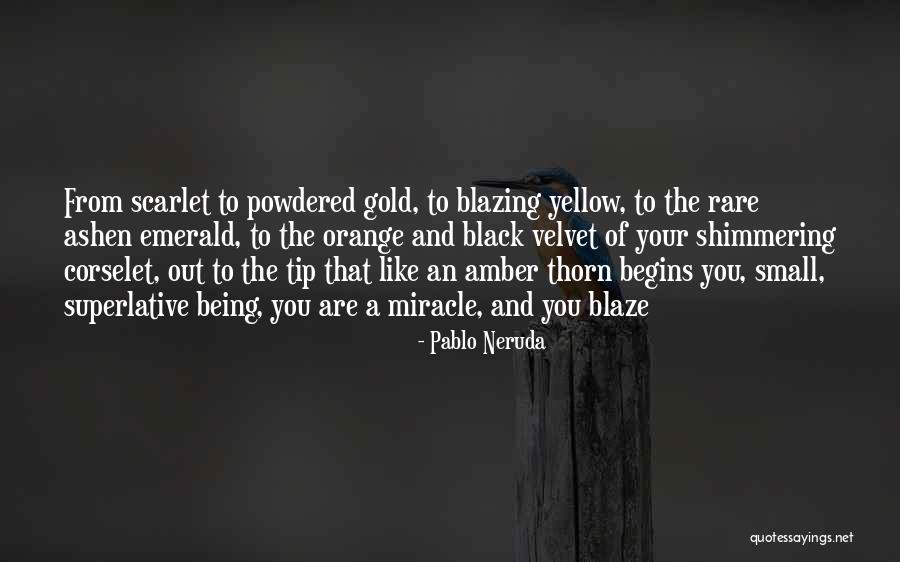 Tai Chi And Water Quotes By Pablo Neruda Tai Chi And Water Quotes By Pablo Neruda