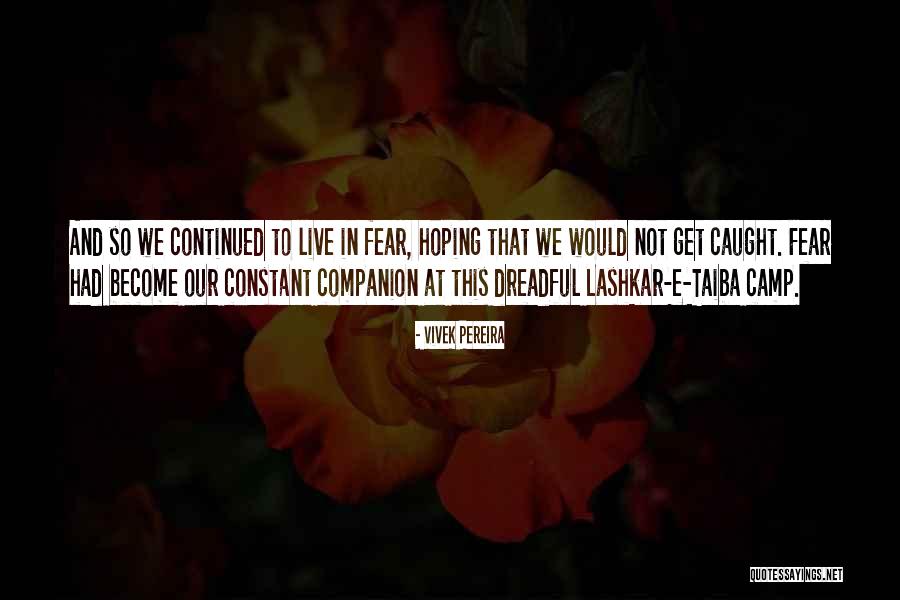 Taiba Quotes By Vivek Pereira Taiba Quotes By Vivek Pereira