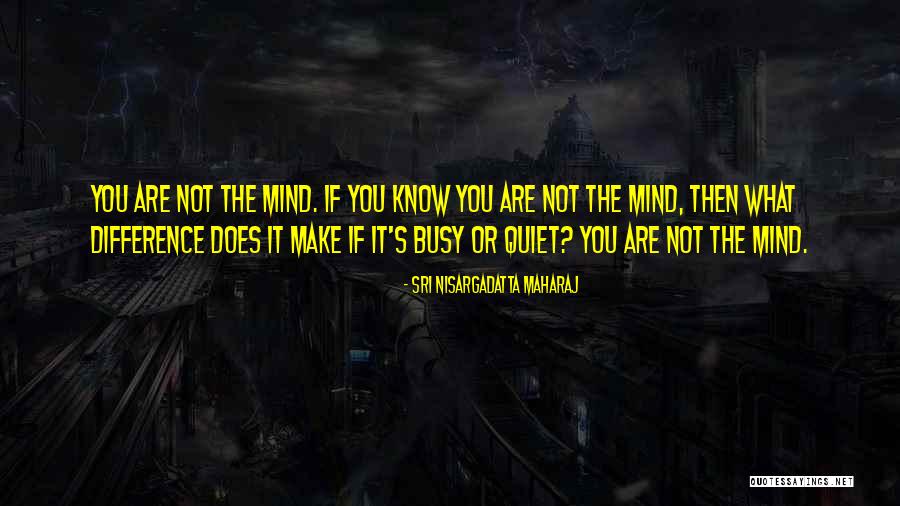 Taigun Quotes By Sri Nisargadatta Maharaj Taigun Quotes By Sri Nisargadatta Maharaj