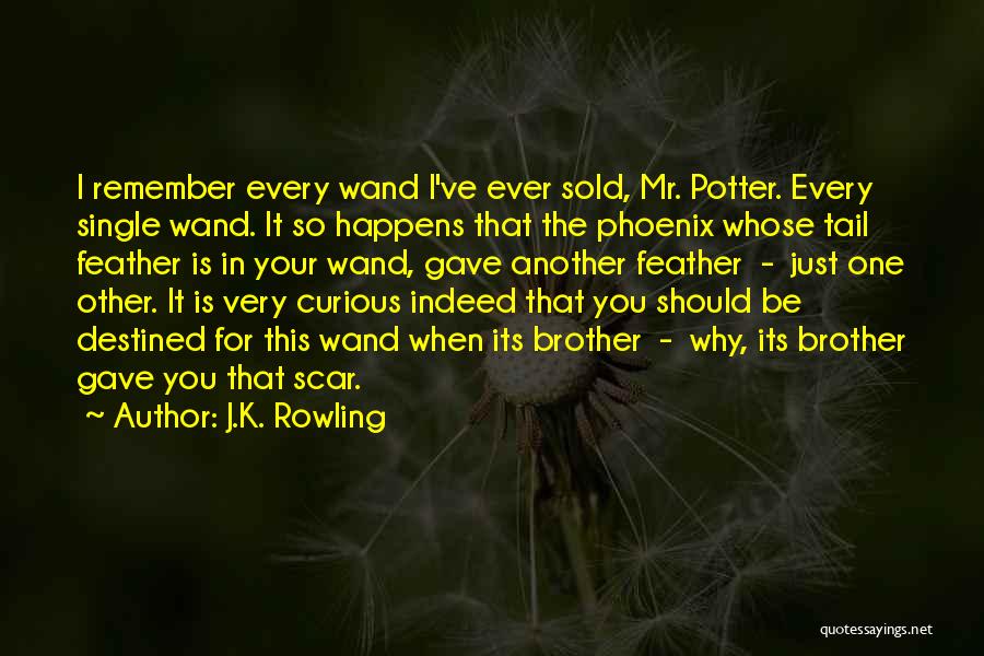 Tail Feather Quotes By J.K. Rowling