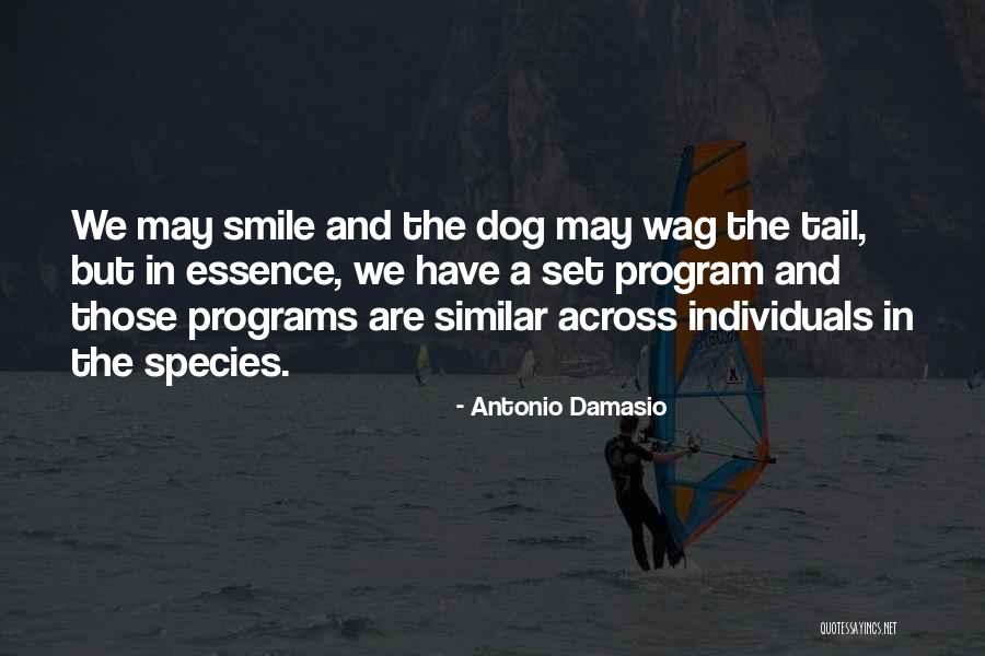 Tail Set Quotes By Antonio Damasio Tail Set Quotes By Antonio Damasio
