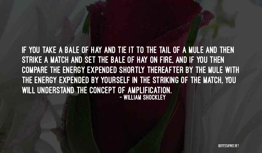 Tail Set Quotes By William Shockley Tail Set Quotes By William Shockley