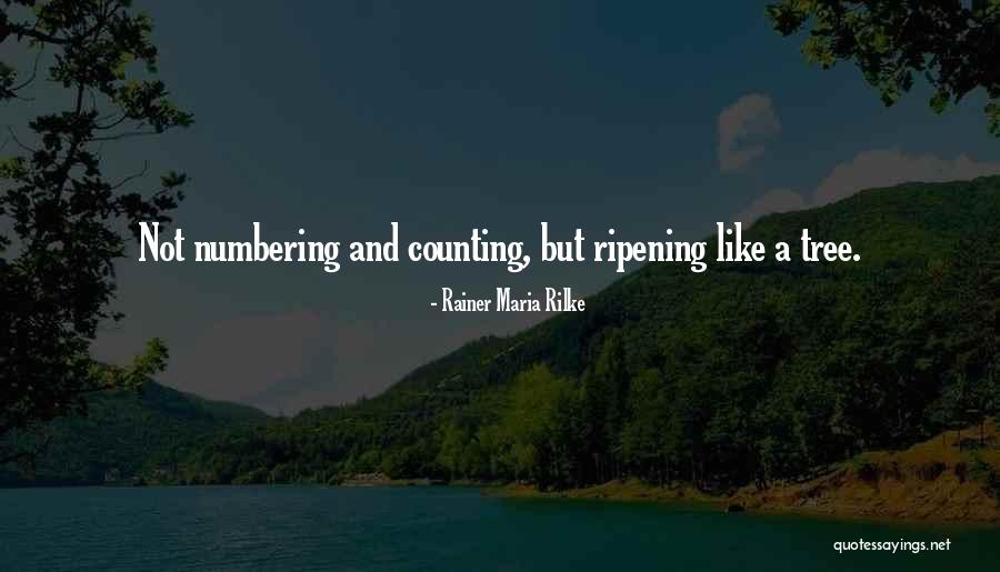 Tailgate Clothing Quotes By Rainer Maria Rilke Tailgate Clothing Quotes By Rainer Maria Rilke