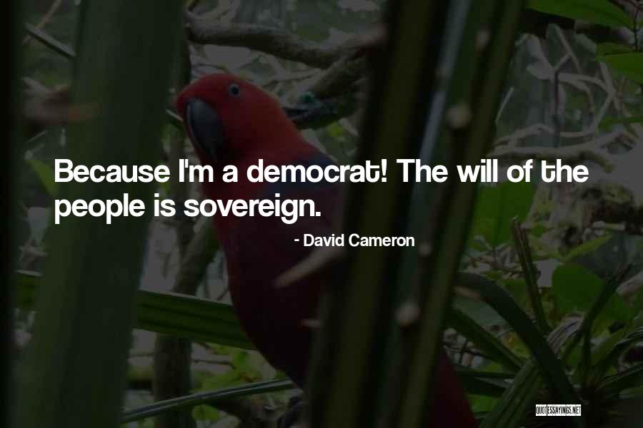 Tailyour Quotes By David Cameron Tailyour Quotes By David Cameron