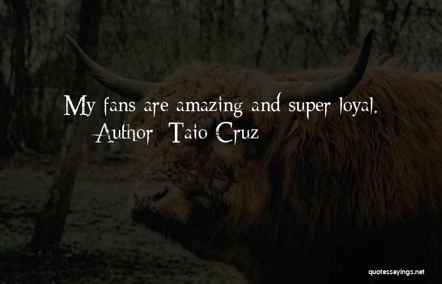 Taio Cruz Quotes 977816