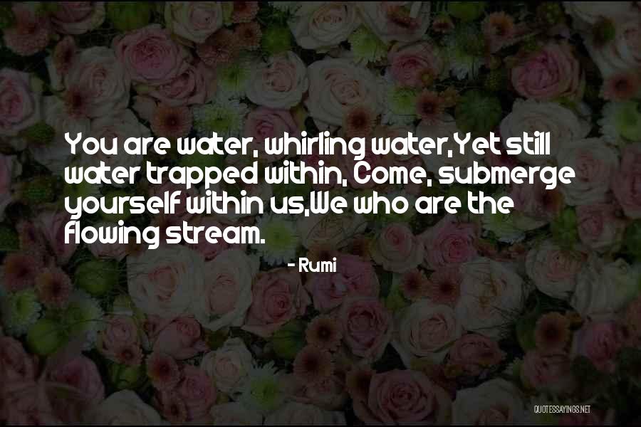 Taipas Perigosa Quotes By Rumi Taipas Perigosa Quotes By Rumi