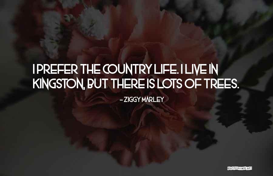 Taiping Zoo Quotes By Ziggy Marley Taiping Zoo Quotes By Ziggy Marley