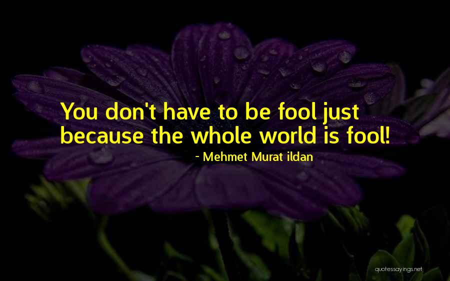 Taisei Corporation Quotes By Mehmet Murat Ildan Taisei Corporation Quotes By Mehmet Murat Ildan