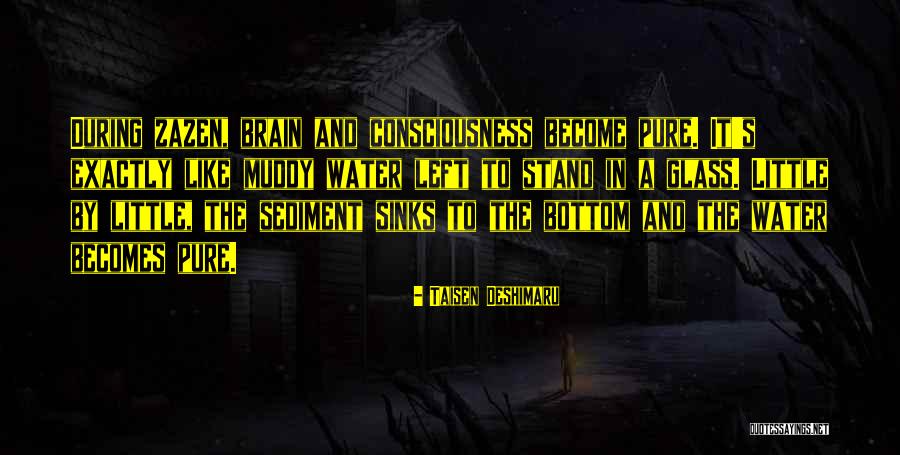 Taisen Deshimaru Quotes 1524667 Taisen Deshimaru Quotes 1524667