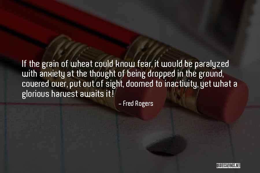 Taisha Bachelor Quotes By Fred Rogers Taisha Bachelor Quotes By Fred Rogers