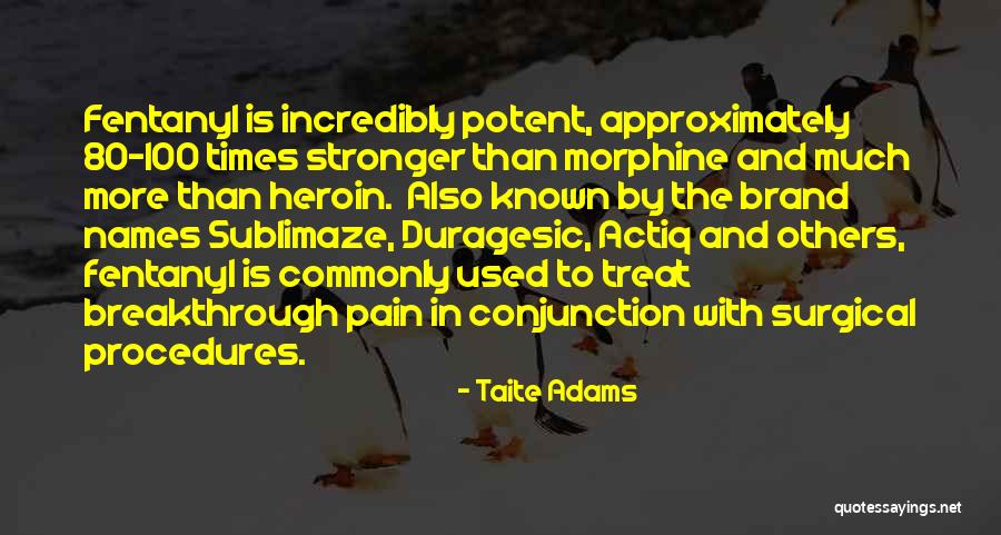 Taite Adams Quotes 954140 Taite Adams Quotes 954140