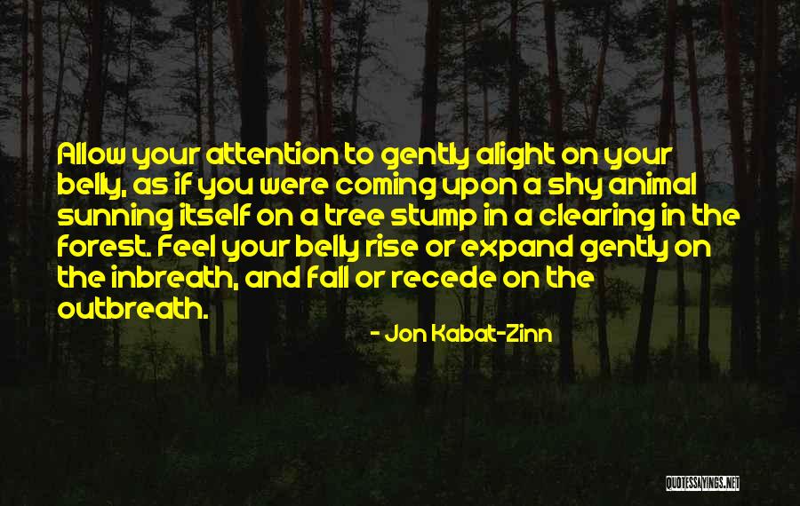 Taiteen Sulattamo Quotes By Jon Kabat-Zinn Taiteen Sulattamo Quotes By Jon Kabat-Zinn