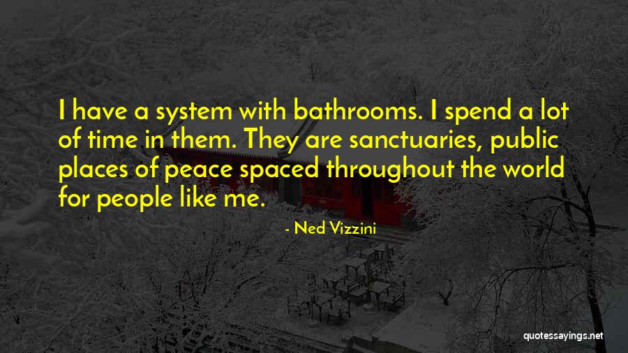 Tajadas Fritas Quotes By Ned Vizzini Tajadas Fritas Quotes By Ned Vizzini
