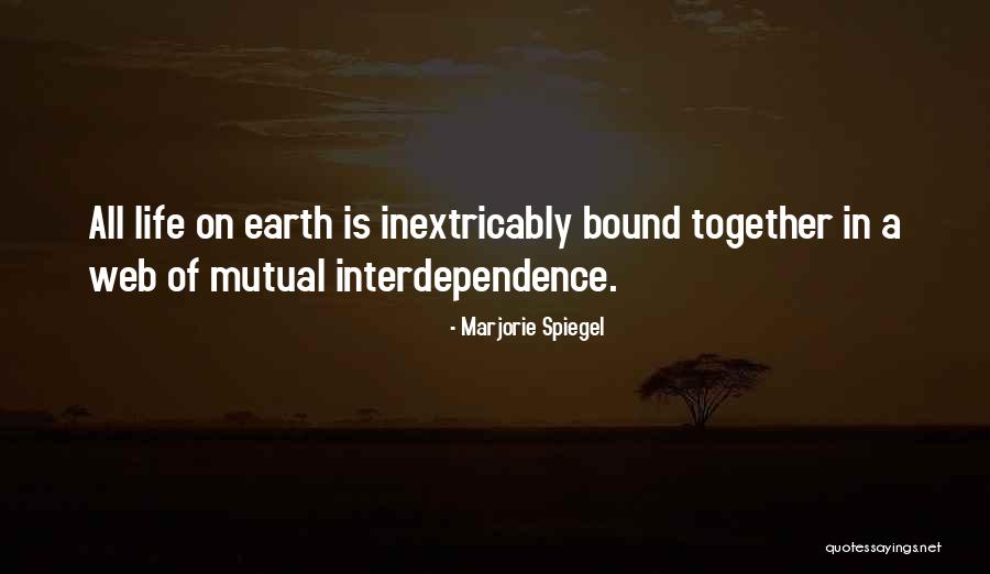Takashiro Yui Quotes By Marjorie Spiegel Takashiro Yui Quotes By Marjorie Spiegel