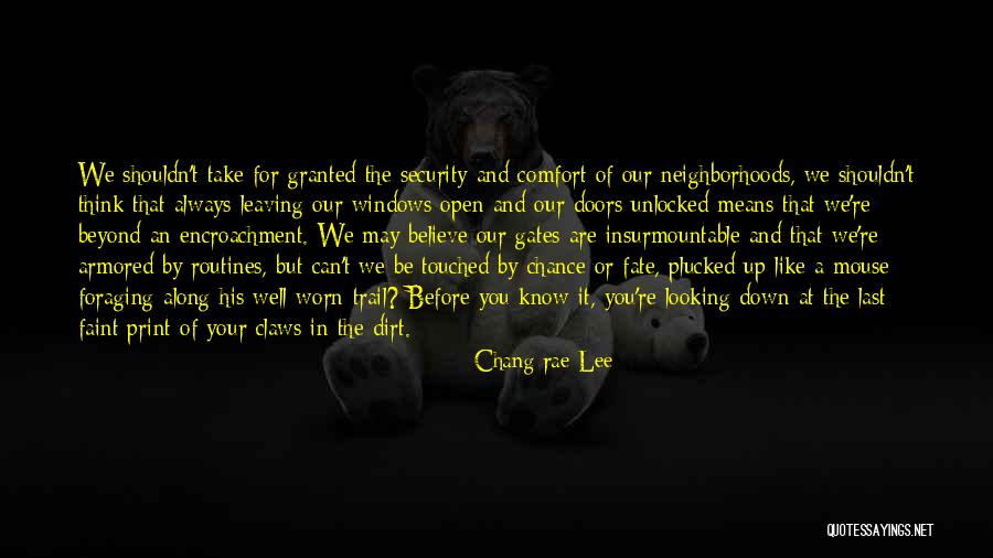 Take A Chance Before It's Gone Quotes By Chang-rae Lee Take A Chance Before It's Gone Quotes By Chang-rae Lee