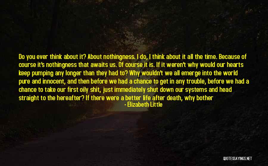 Take A Chance Before It's Gone Quotes By Elizabeth Little Take A Chance Before It's Gone Quotes By Elizabeth Little