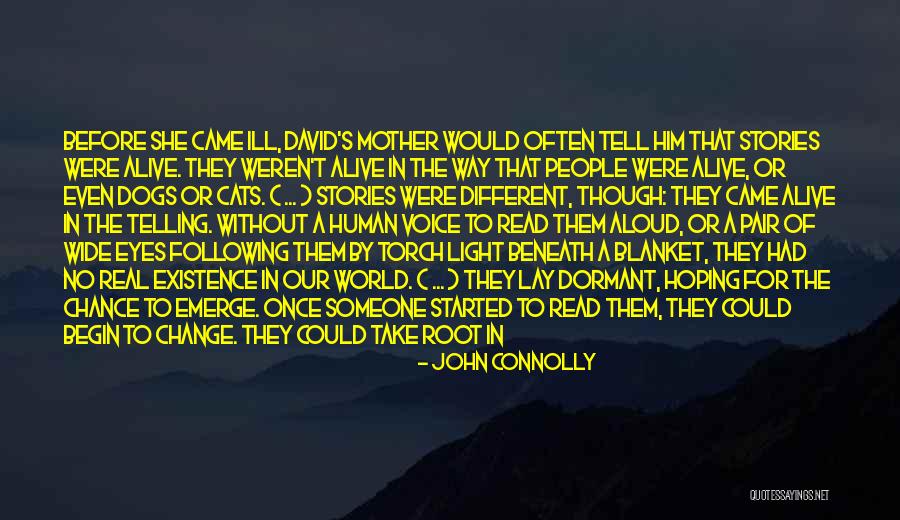Take A Chance Before It's Gone Quotes By John Connolly Take A Chance Before It's Gone Quotes By John Connolly