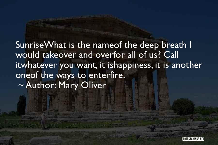 Take A Deep Breath And Let It Go Quotes By Mary Oliver