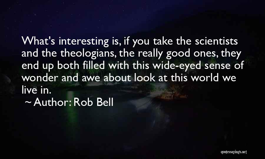 Take A Good Look At Me Now Quotes By Rob Bell