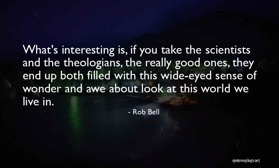 Take A Good Look At Me Now Quotes By Rob Bell