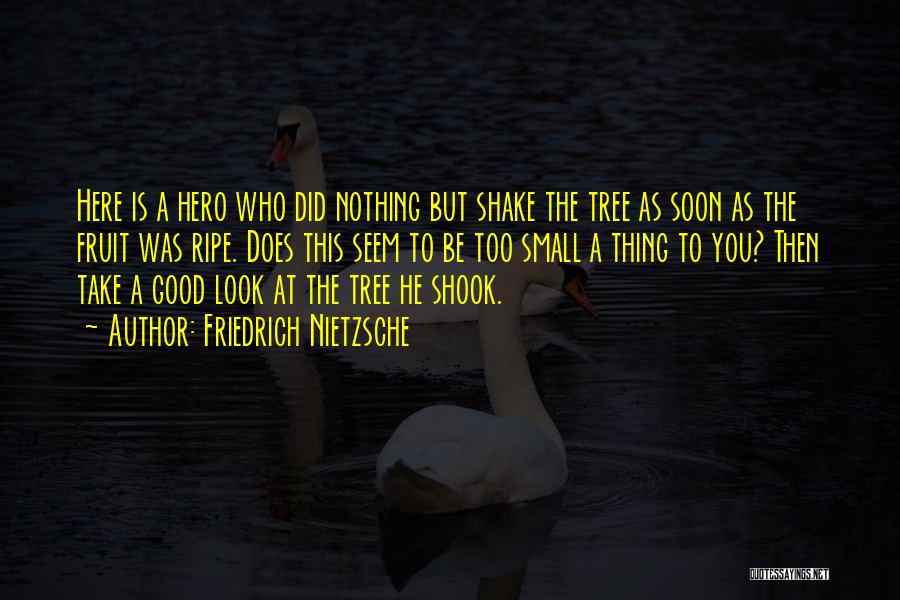 Take A Good Look At Yourself Quotes By Friedrich Nietzsche