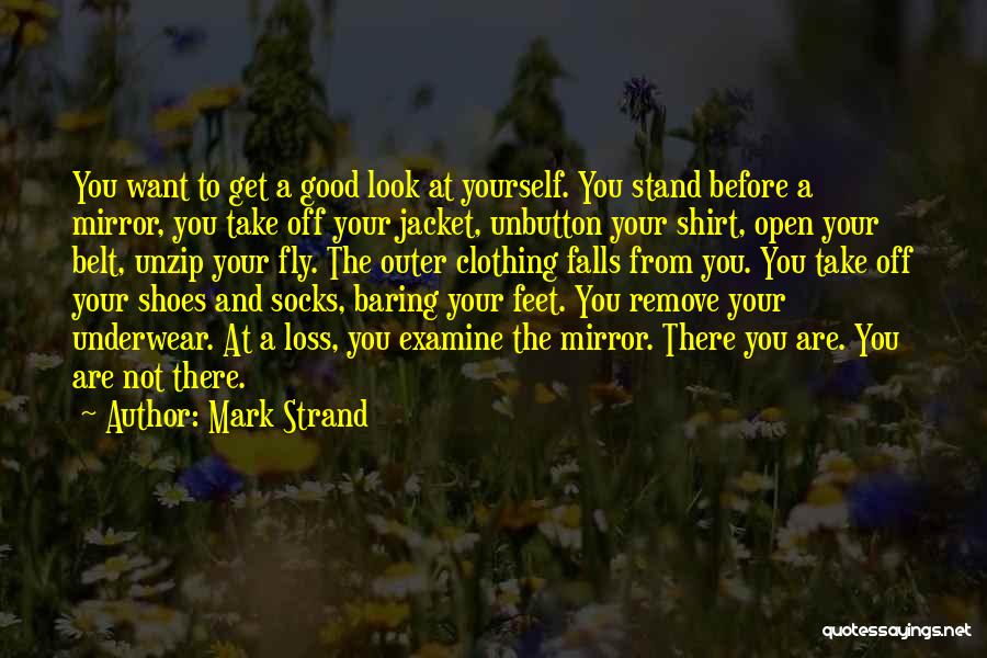 Take A Good Look In The Mirror Quotes By Mark Strand